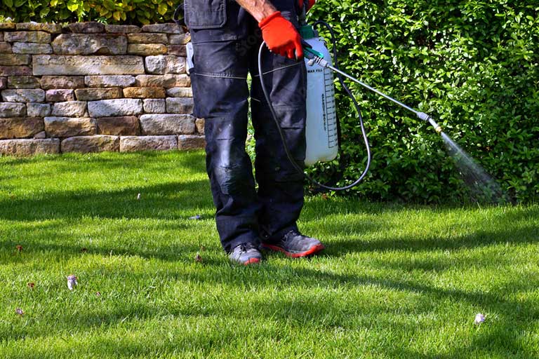 Texas Pest Control Protection