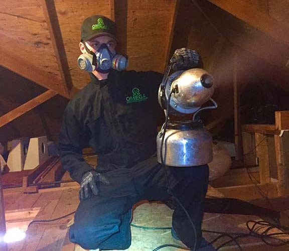 Attic Restoration And Animal Removal