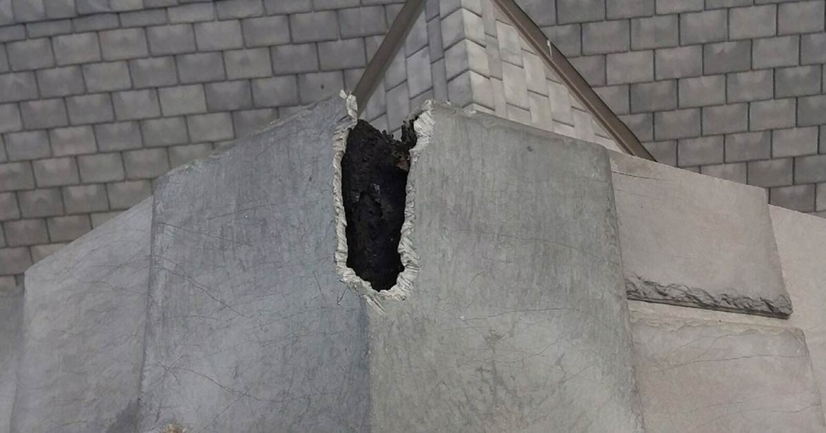 Roof Access Point Rat Exclusion